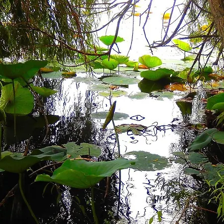 فندق مبيت وإفطار Le Lune