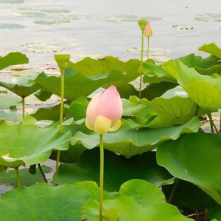 Le Lune فندق مبيت وإفطار