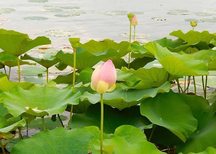 Le Lune Oda ve Kahvaltı